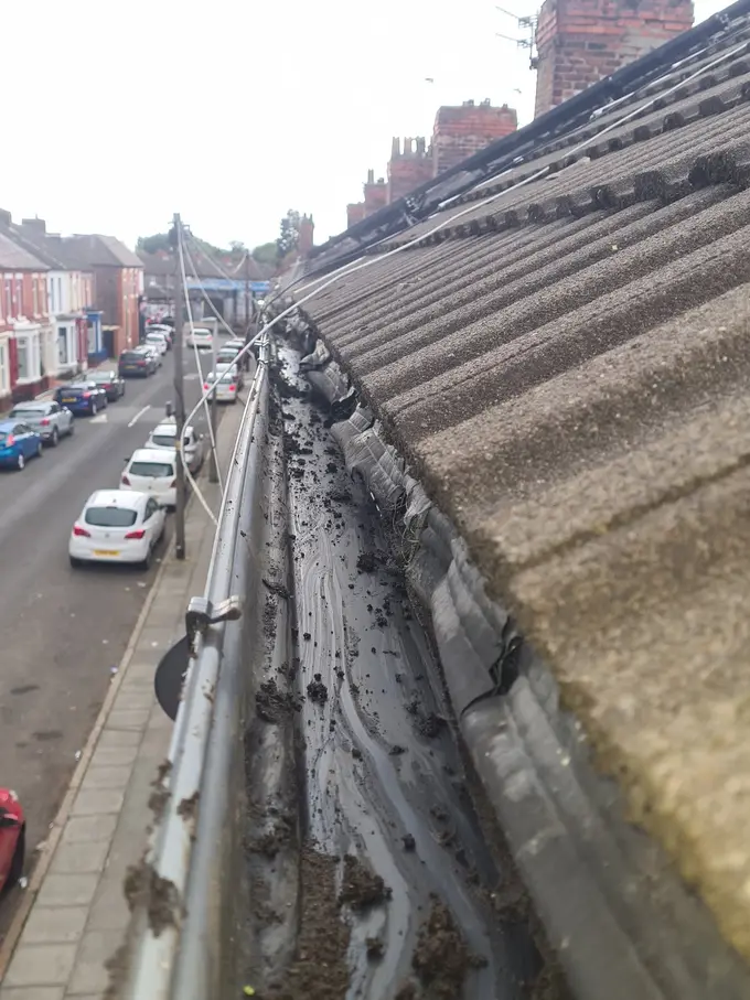 Blocked gutter cleared of grass and moss