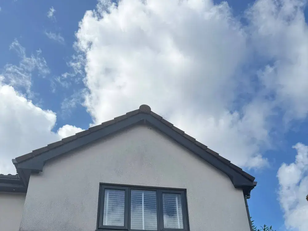 House roof and render cleaned of moss and algae