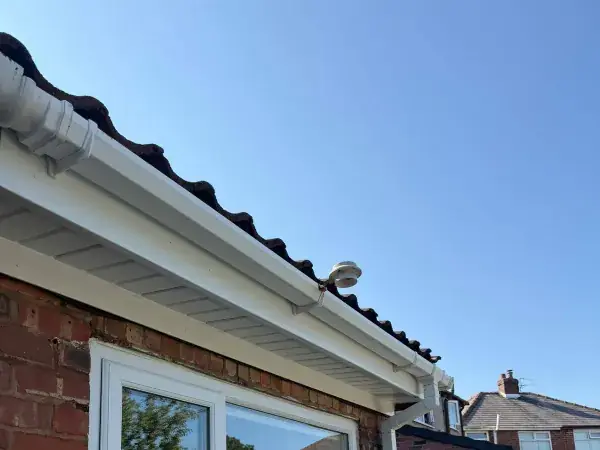 Conservatory cleaning