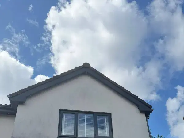 Roof cleaning